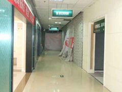 中广网2月20日动静近